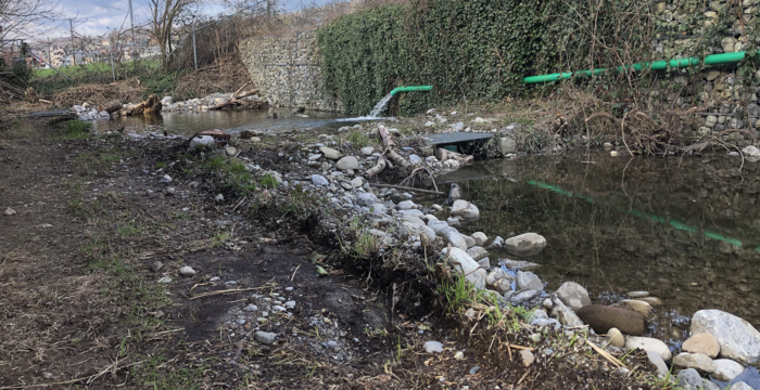 neu gestaltete Weiher in der Fischermatt, Gelfingen