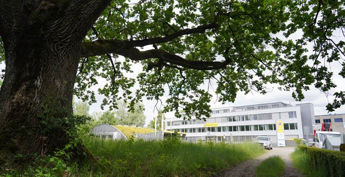 Der Besucherdruck im Chrutzelried ist hoch. Auf dem Perimeter des Schutzgebiets befindet sich ein illegaler Parkplatz. © Nathalie Rutz