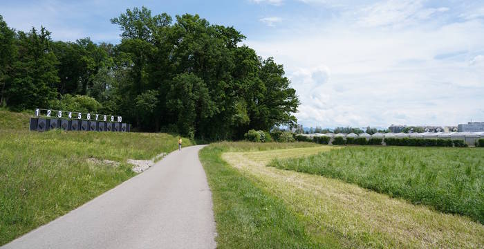Emissionen vom Schiessstand und der angrenzenden Landwirtschaft beeinträchtigen das Naturschutzgebiet Chrutzelried. © Nathalie Rutz