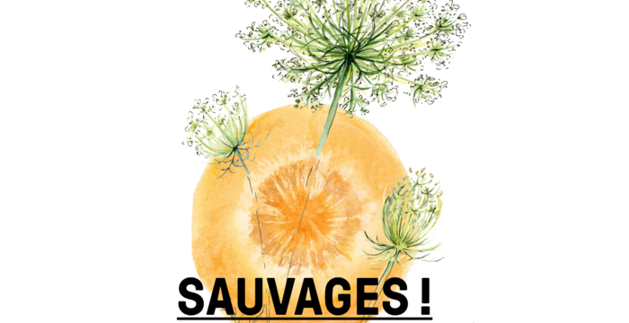 sauvages