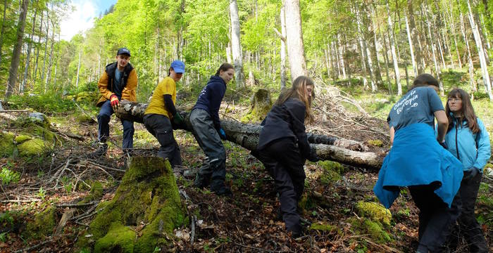 Öktopia 2024 Jugendliche im Einsatz für die Natur. © Florian Jermann