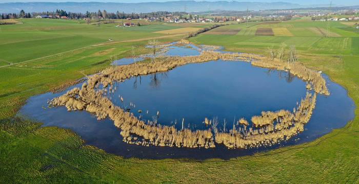Lobsigensee BE