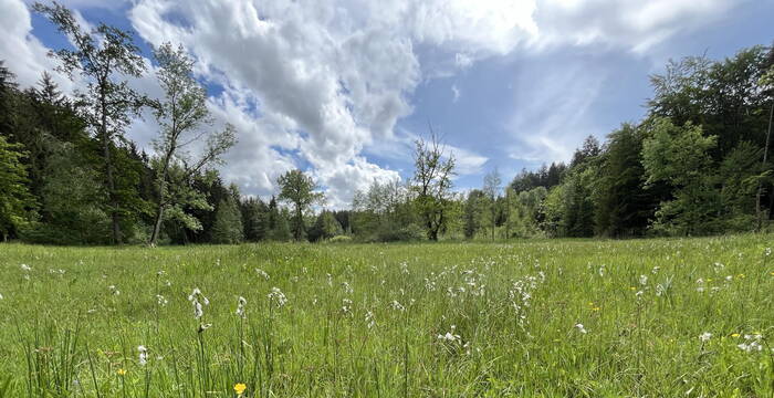 Schutzgebiet Arnegger Witi/Altmoos