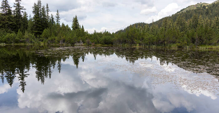 Bergsee auf der Alp Flix