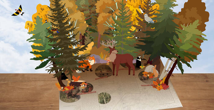 Winterillustration