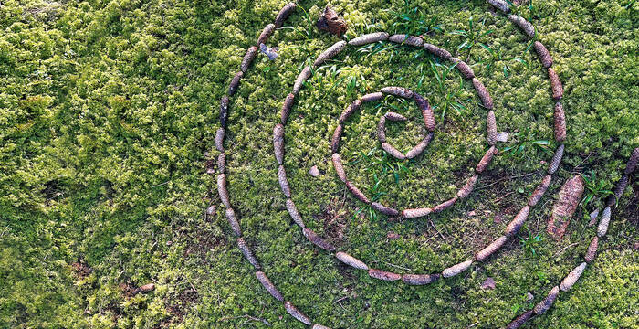 Schneckenspirale