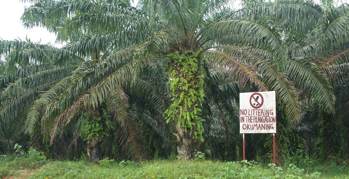 Plantage
