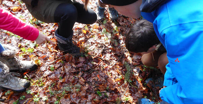 Kinder bücken sich über eine Spur am Waldboden