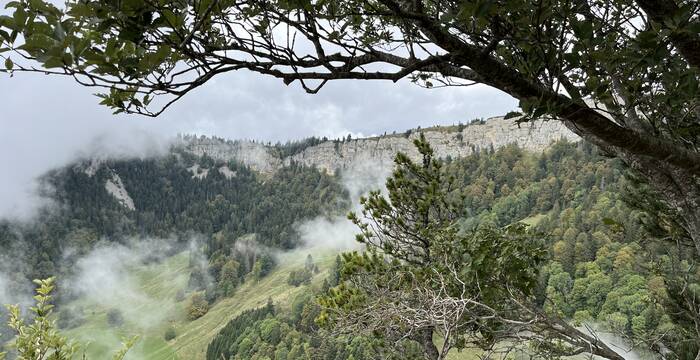 Panorama Bettlachstock