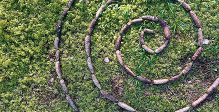 Spirale pives