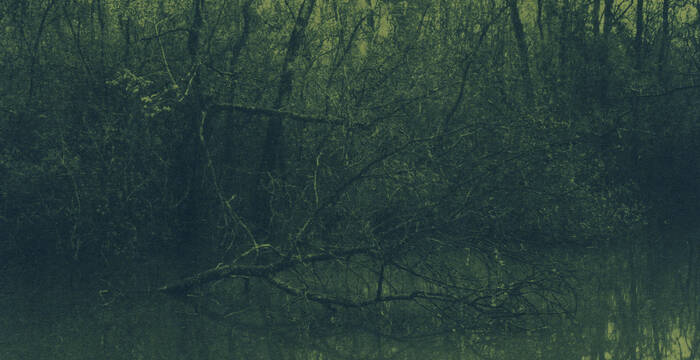Cyanotype