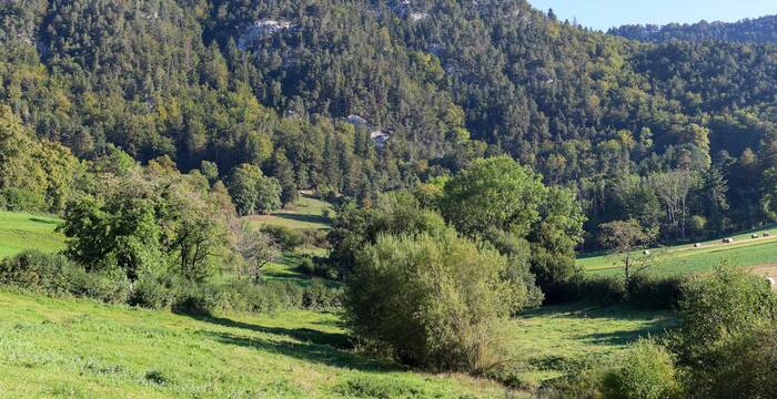 Vacances en faveur de la nature, Le Crât, Crémines BE - Chantier entretien