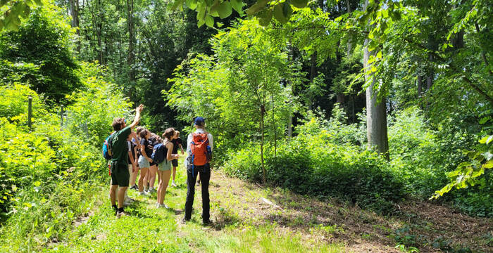 Gruppe bei der Entdeckung von Habitatbäumen