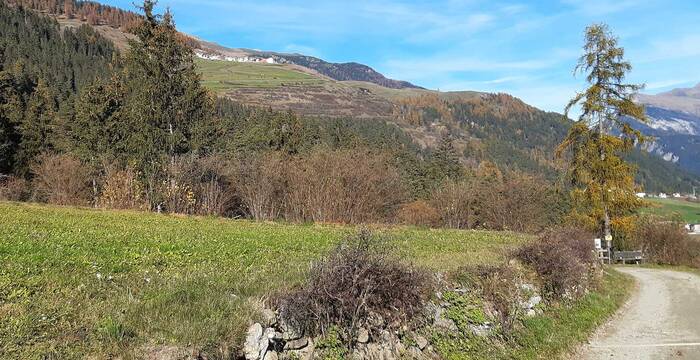 Ferienarbeitswoche, Seraplana, Unterengadin, Graubünden - Trockenmauerbau