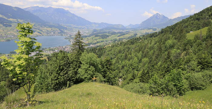 Weitblick Muisschwendli