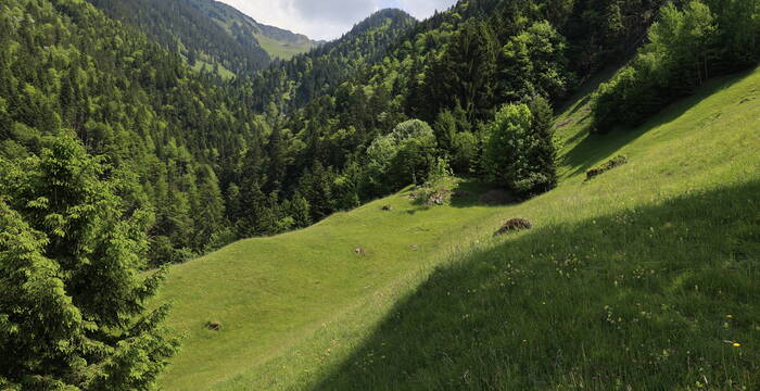 Blick Wiese Muisschwendli