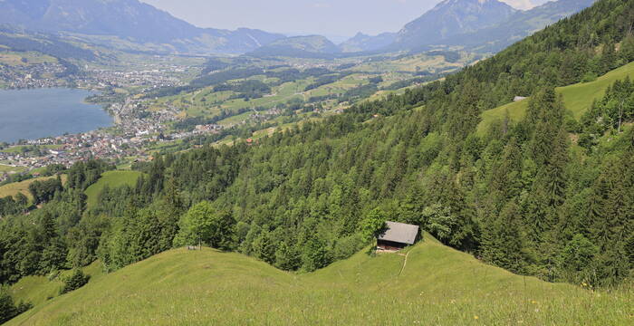 Blick von Oben auf das Schutzgebiet Muisschwendli
