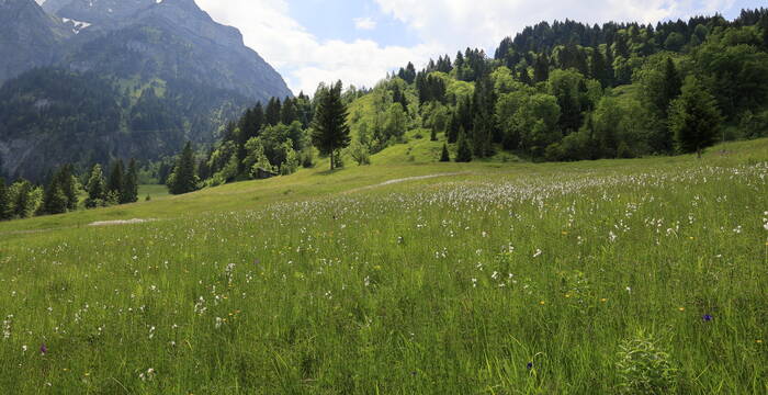 Rieter Oberrickenbach