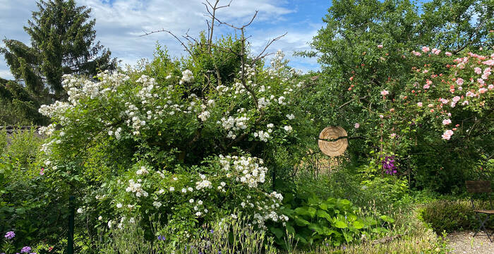 Schaugarten