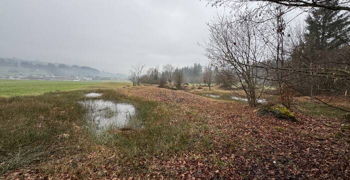 Ingäu Weiher
