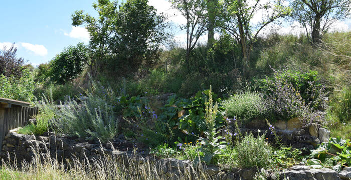 Schaugarten