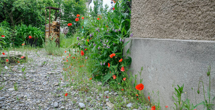Natur entlang von Häusern