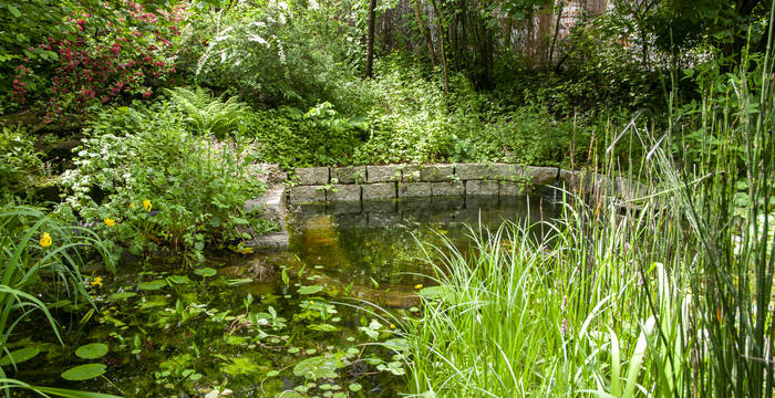 Am Wasser lassen sich unzählige spannende Naturbeobachtungen machen.  