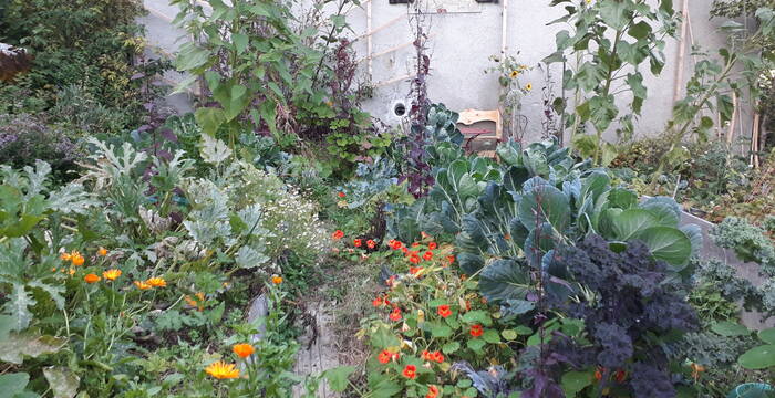 Jardin naturel