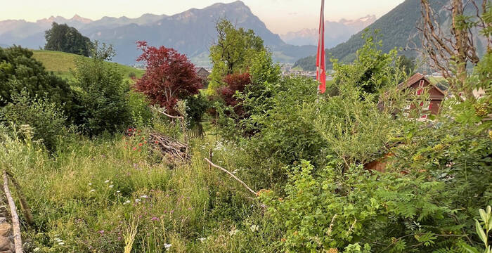 Schaugarten