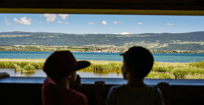 Tour d'observation
