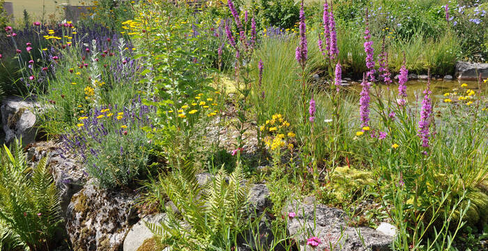 Schaugarten