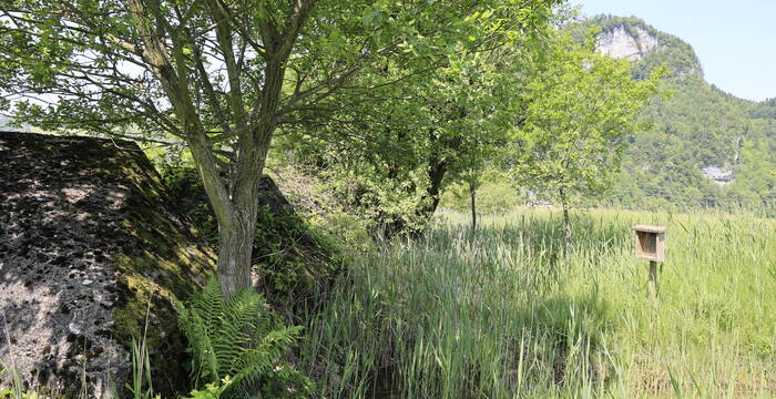 Naturschutzgebiet Pro Natura Unterwalden Panzersperre