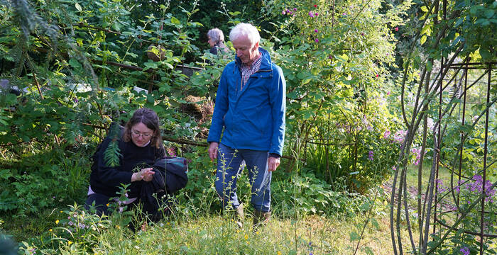Vous aimeriez découvrir différents éléments de jardin naturel et savoir comment transformer votre jardin en un paradis coloré? 