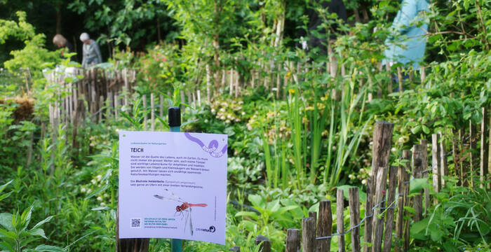 Divers événements, tels que des visites individuelles, des visites guidées ou des ateliers, sont organisés dans les jardins à papillons ouverts. 
