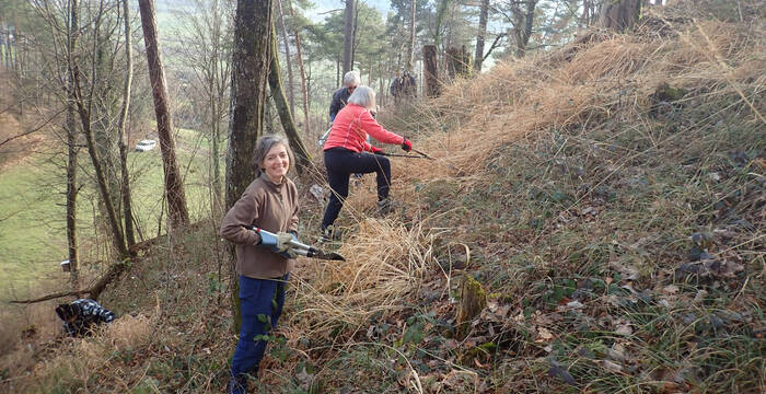 Freiwillige helfen am Immenberg