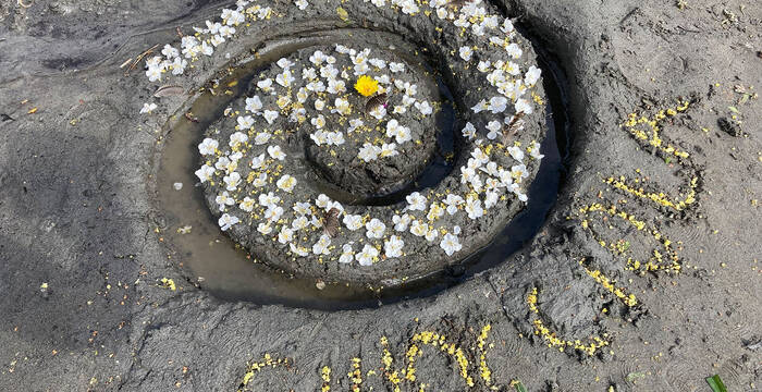 Spirale d'escargot avril (nom connu de Pro Natura)