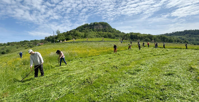 Sensenkurs in Sissach