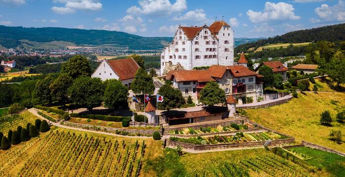 Tagesexkursion Chestenberg, Pflanzenund Landschaft
