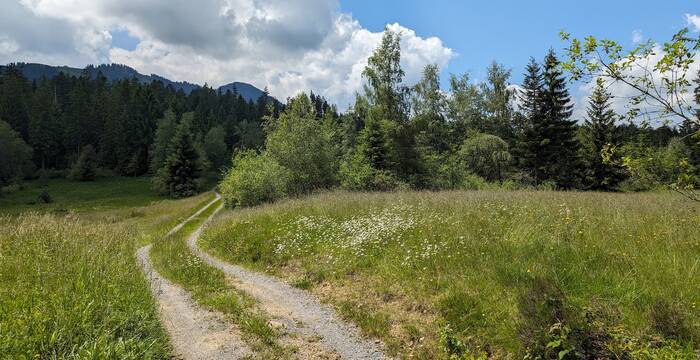 Fahr- und Wanderweg im Balmoos, Hasle. Foto: Pro Natura Luzern