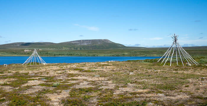 Sommerweide der Samen in Nordnorwegen