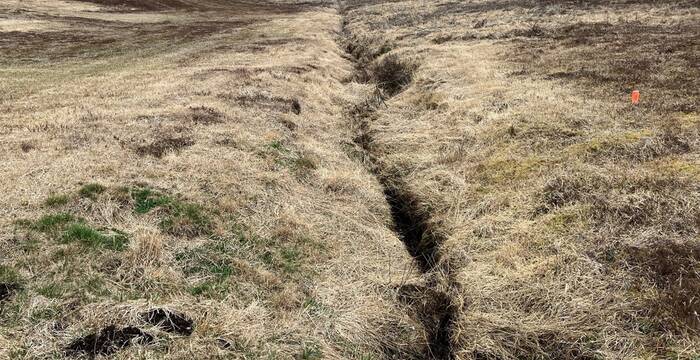 Der Hauptgraben bei Wolfschachen mit Erosionsspuren. Die Vegetation zeugt von einer grossflächigen Austrocknung des Torfs auf beiden Seiten. © Bastien Amez-Droz
