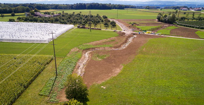 Bachrenaturierung Langrickenbach