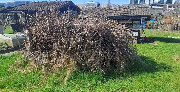 Der Asthaufen ist Rückzugsort für Eidechsen, Igel, Zaunkönig und andere Gartenwildtiere.