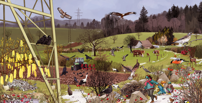 Illustration des Lebensraum Kulturland