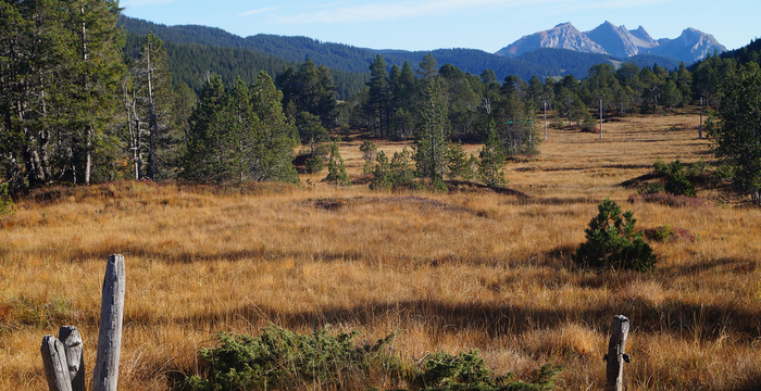 Moor Glaubenberg