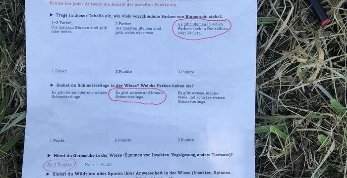 LebensraumBlumenwieseWiesebewerten