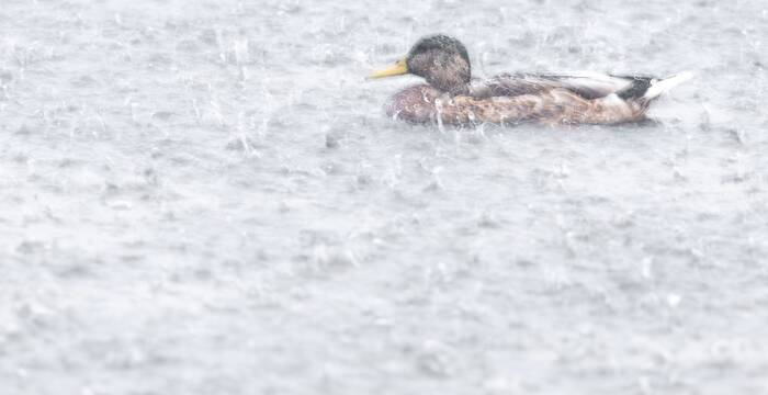 Quand le ciel vous tombe sur la tête