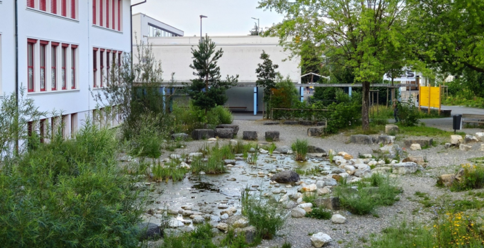 Feuchtfläche im Siedlungsgebiet