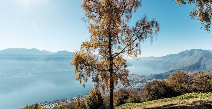 Tagesexkursion Pro Natura aktiv: Wanderung durch das prähistorische Hinterland von Ascona TI