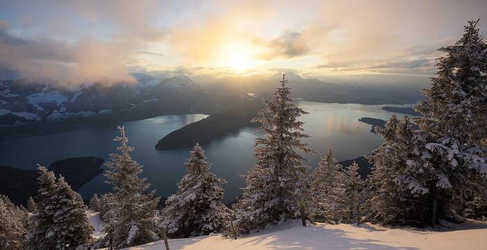 Tagesexkursion Pro Natura aktiv: Sonnenseite am Vierwaldstättersee im Winterkleid